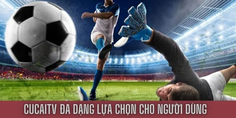 Cucai cung cấp hàng ngàn link trực tiếp trận đấu lớn 